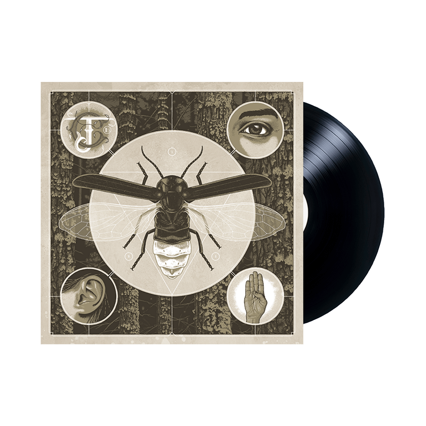 Brighten Black Vinyl