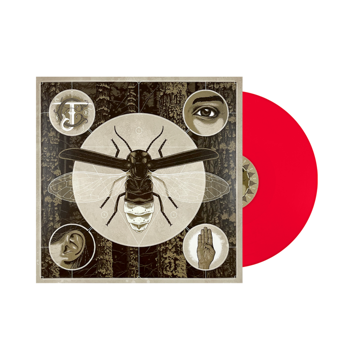 Brighten Vinyl - Pink