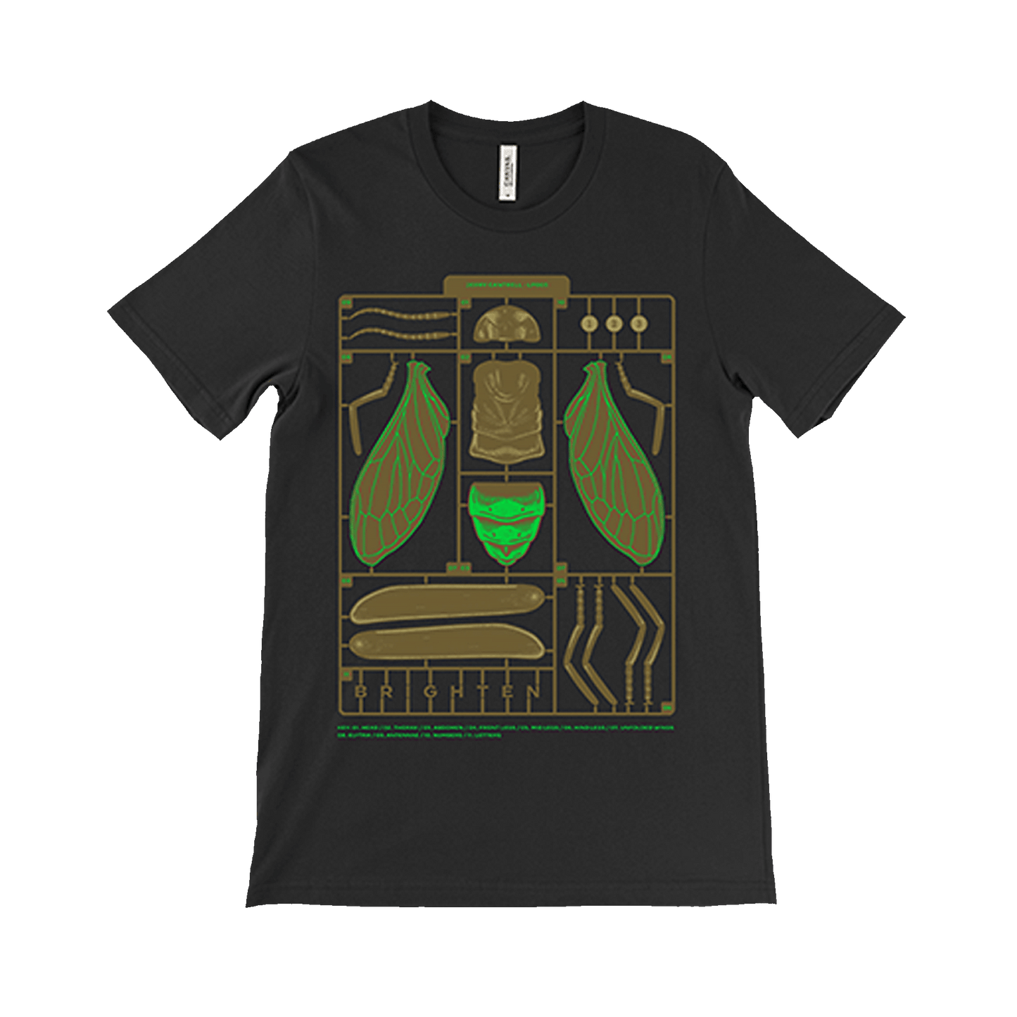 Brighten 2023 Anatomy Tour T-Shirt